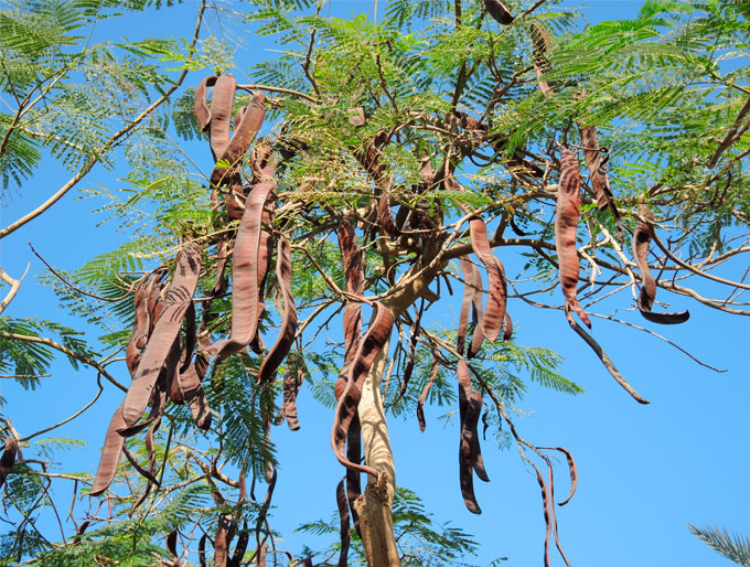 Opening Hours Zoo Barcelona